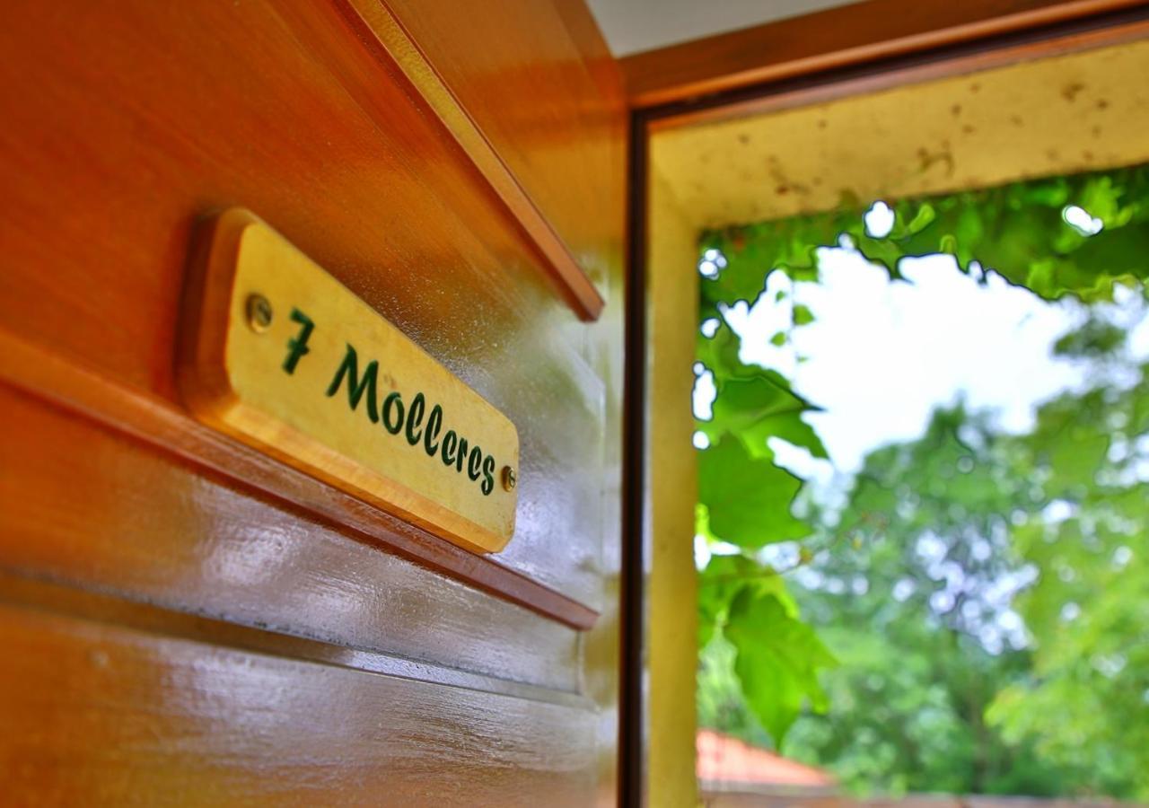 Beau Vallon - Gite Et Chambres D'Hotes Pyrenees-Mediterranee - Pays Catalan Sahorre Exterior foto